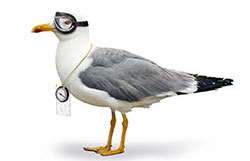 Immer auf dem Laufenden